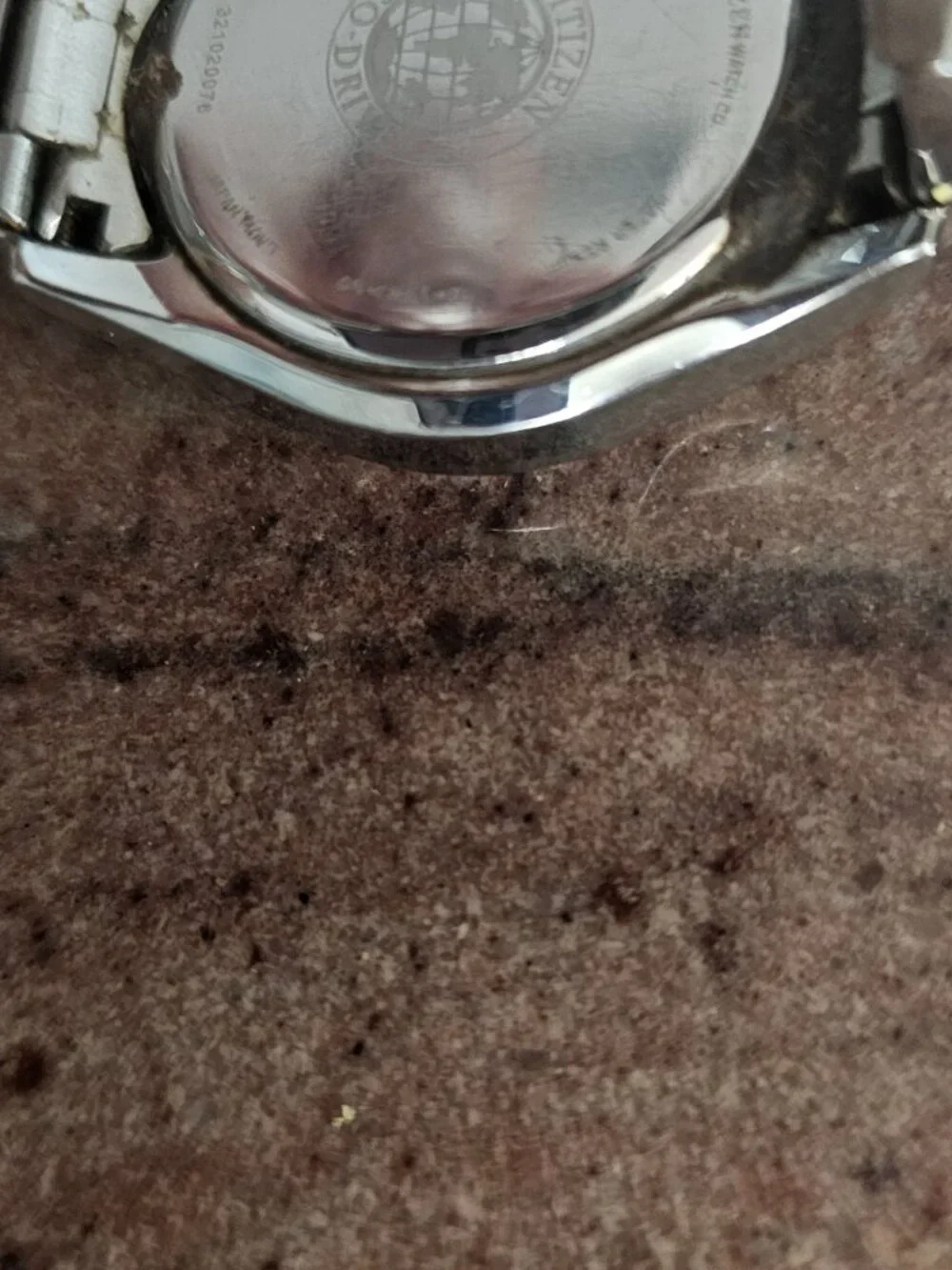 Women's Citizen Eco Drive Chronograph Watch
